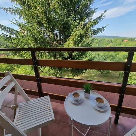 Hoopovo House Fruska Gora Villa Irig Bagian luar foto
