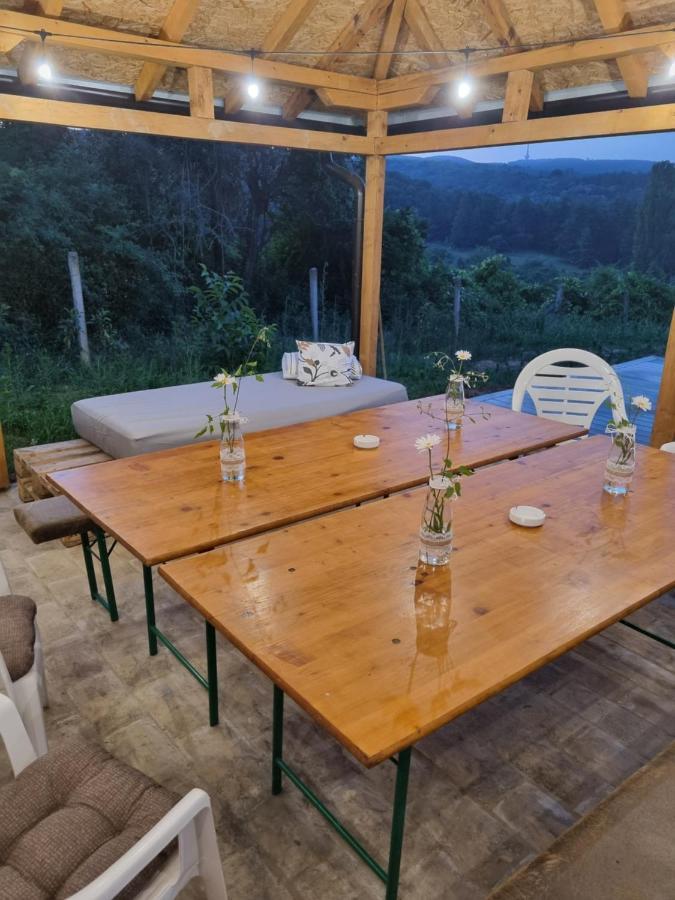 Hoopovo House Fruska Gora Villa Irig Bagian luar foto