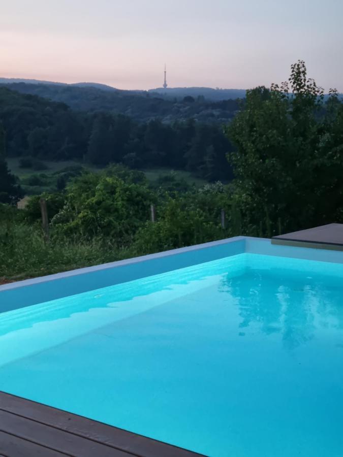 Hoopovo House Fruska Gora Villa Irig Bagian luar foto