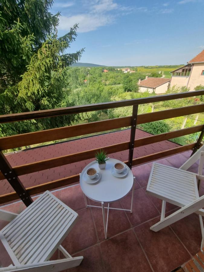Hoopovo House Fruska Gora Villa Irig Bagian luar foto