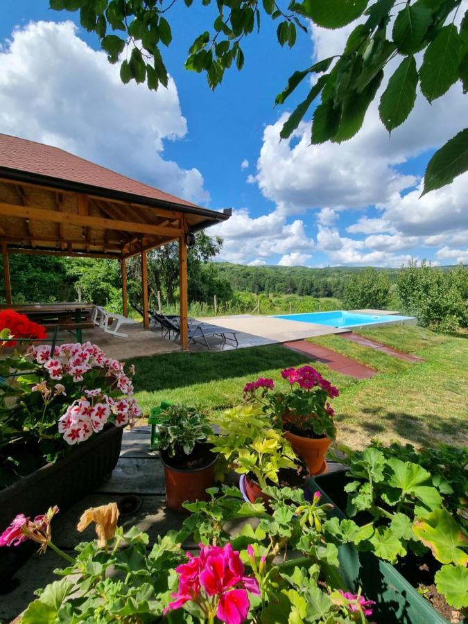 Hoopovo House Fruska Gora Villa Irig Bagian luar foto
